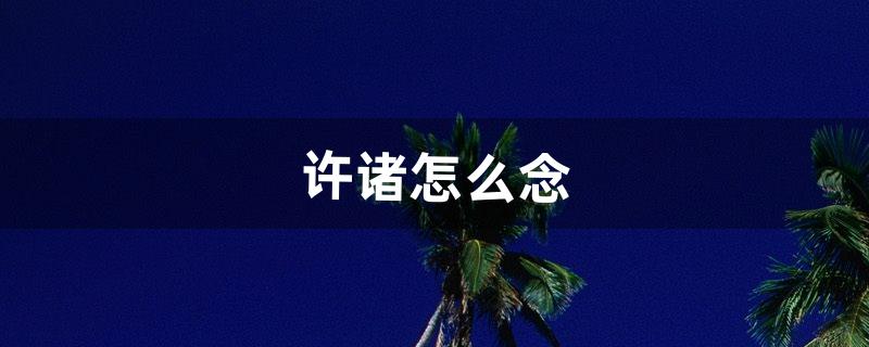 许诸怎么念(许褚的读音是什么)