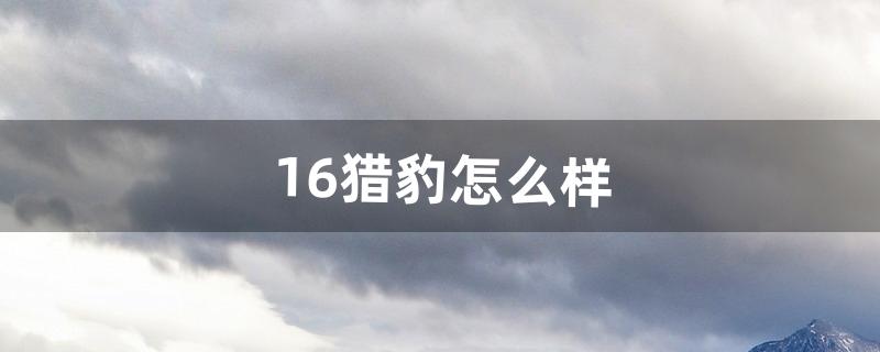 16猎豹怎么样（猎豹有2.8排量吗)