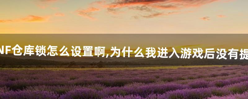 DNF仓库锁怎么设置啊,为什么我进入游戏后没有提示