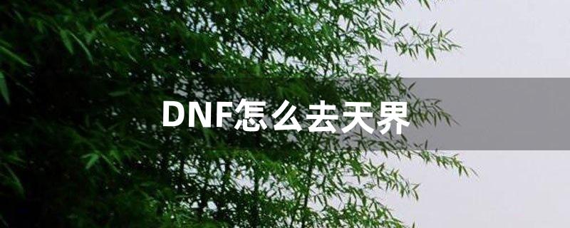 DNF怎么去天界（dnf天界账号)