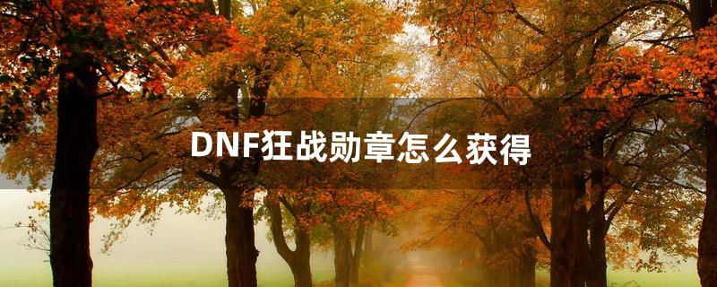 DNF狂战勋章怎么获得（地下城狂战勋章怎么选)