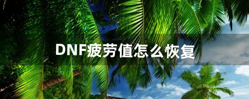 DNF疲劳值怎么恢复（dnf信用分0分就废了么)