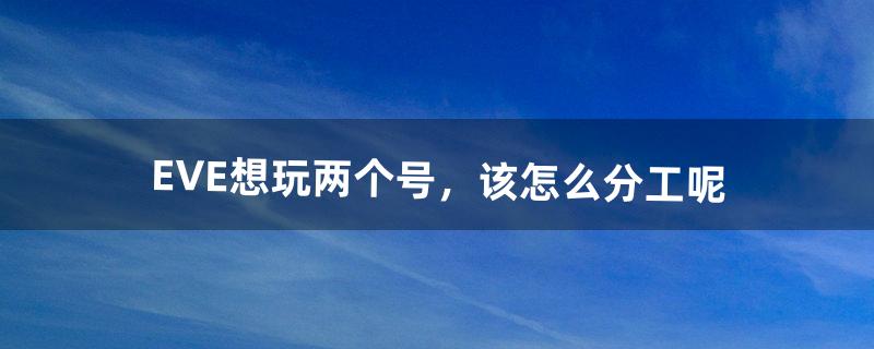 EVE想玩两个号，该怎么分工呢（eve新人知识)