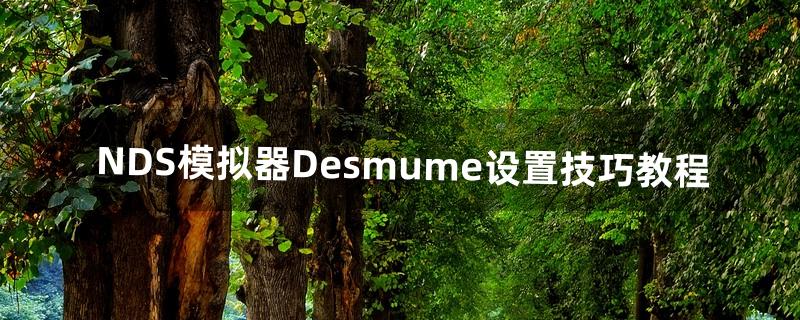 NDS模拟器Desmume设置技巧教程（nds模拟器如何设置按键)