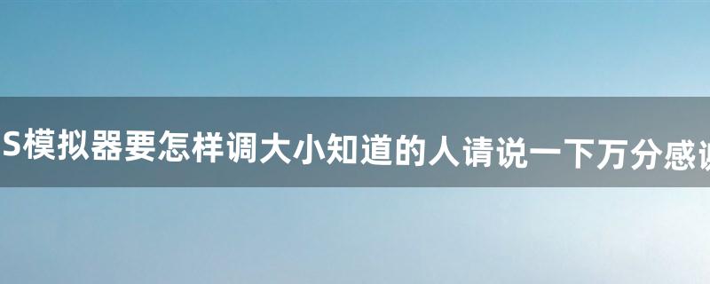 NDS模拟器要怎样调大小?知道的人请说一下!万分感谢啊