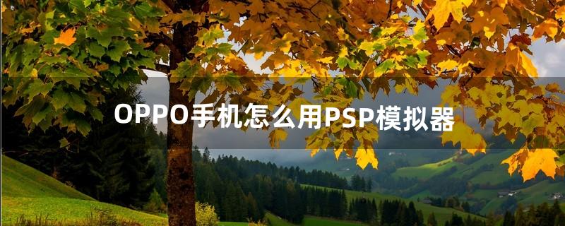 psp模拟器怎么用