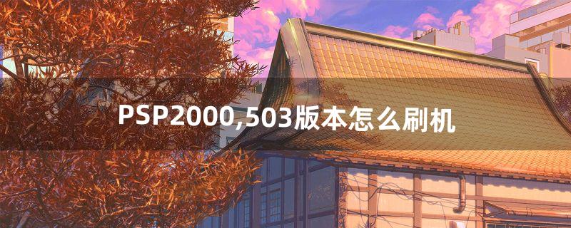 PSP2000,5.03版本怎么刷机(psp2000刷机哪个版本最好用)