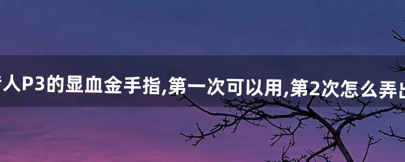 怪物猎人p3金手指怎么用 怪物猎人p3金手指怎么用