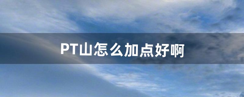 pt怎么加点