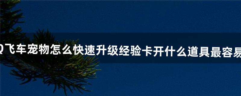 QQ飞车宠物怎么快速升级经验卡开什么道具最容易得