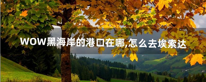 WOW黑海岸的港口在哪,怎么去埃索达(wow芦苇海岸在哪里)