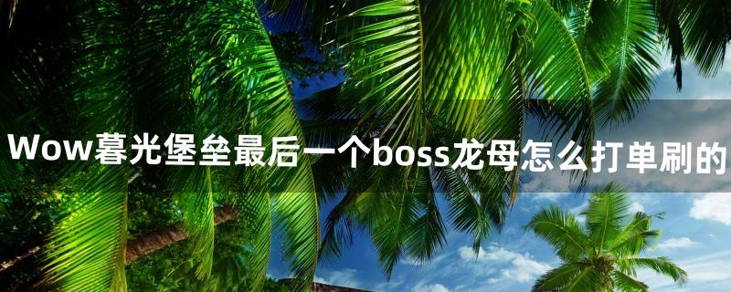 Wow暮光堡垒最后一个boss龙母怎么打单刷的