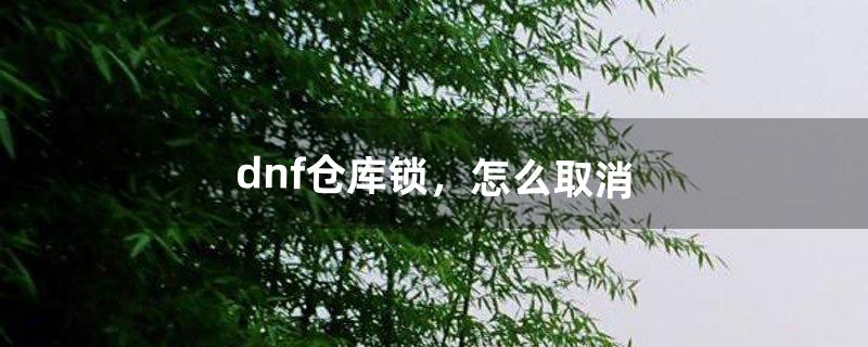 dnf仓库锁，怎么取消（dnf手游有共享仓库吗)