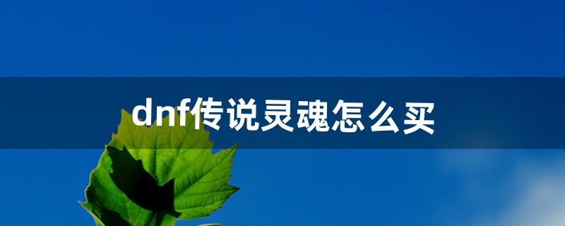 dnf传说灵魂怎么买（地下城传说灵魂快速获得)