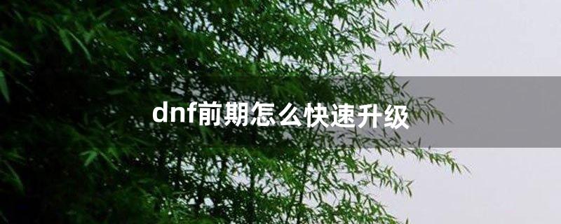 dnf前期怎么快速升级（dnf 99级快速升级)