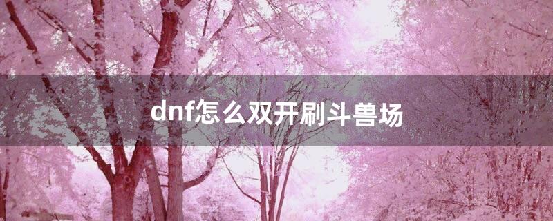 dnf怎么双开刷斗兽场（dnf双开窗口一大一小怎么解决)