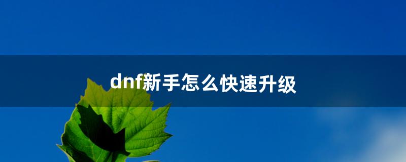 dnf新手怎么快速升级（dnf每天领50疲劳药)