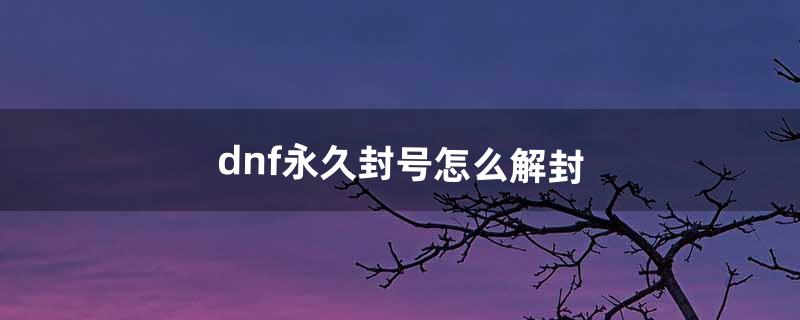 dnf永久封号怎么解封（dnf一登录就永久封号)