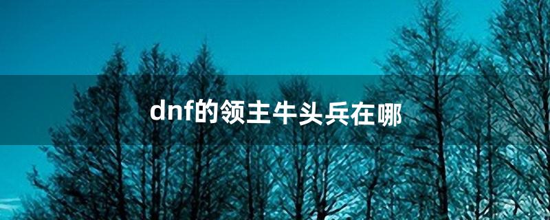 dnf的领主牛头兵在哪（dnf领主血量对照表)