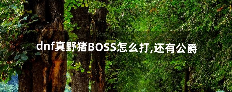 dnf真野猪BOSS怎么打,还有公爵(dnf怎么打真猪)