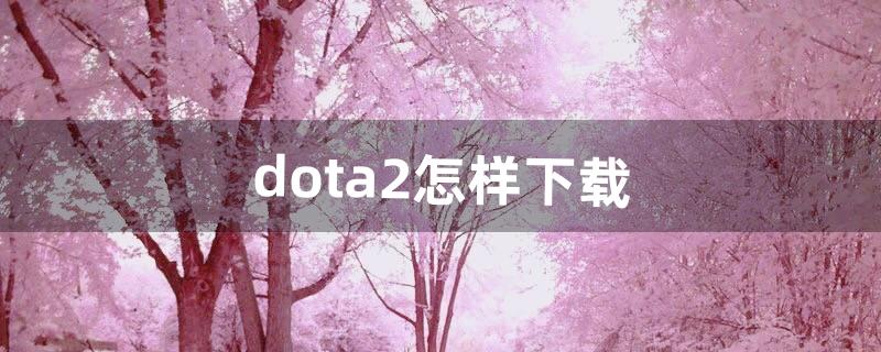 dota2怎样下载（新手下载dota2)