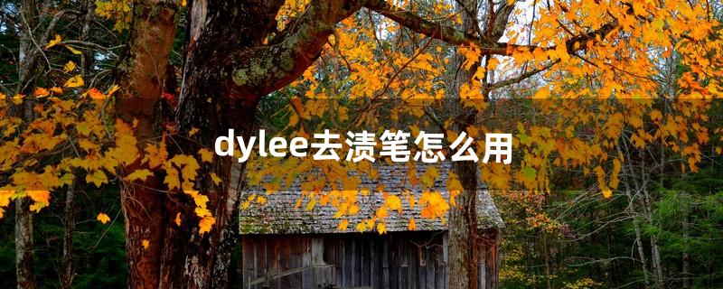 dylee去渍笔怎么用（固体去渍笔怎么使用)