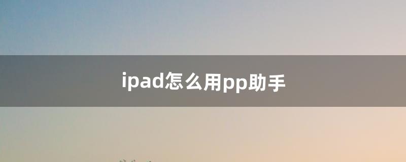 pp助手怎么用