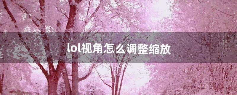 lol视角怎么调整缩放（lol屏幕缩放过小)