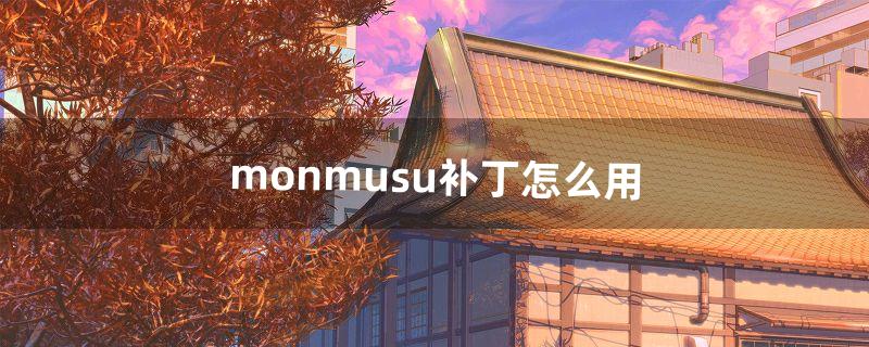 monmusu补丁怎么用（实况补丁在哪里下)