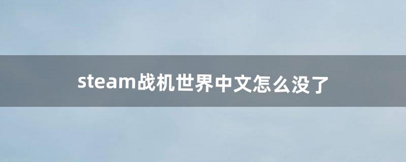 steam战机世界中文怎么没了（战机世界steam汉化)