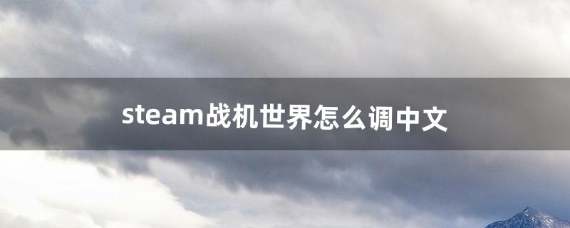 steam战机世界怎么调中文（战机世界steam中文补丁)