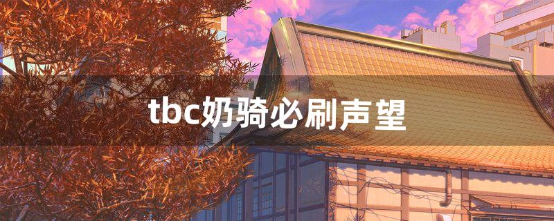 tbc奶骑必刷声望（tbc奶骑无脑堆智力)