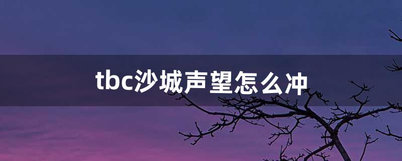 tbc沙城声望怎么冲（沙城声望怎么崇拜)