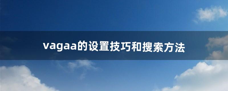 vagaa的设置技巧和搜索方法（vagaa搜索不了怎么办)