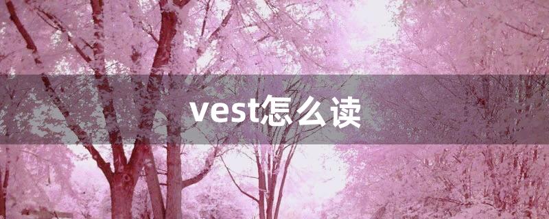 vest怎么读