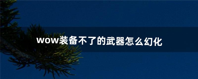 wow装备不了的武器怎么幻化（各职业幻化武器排名)