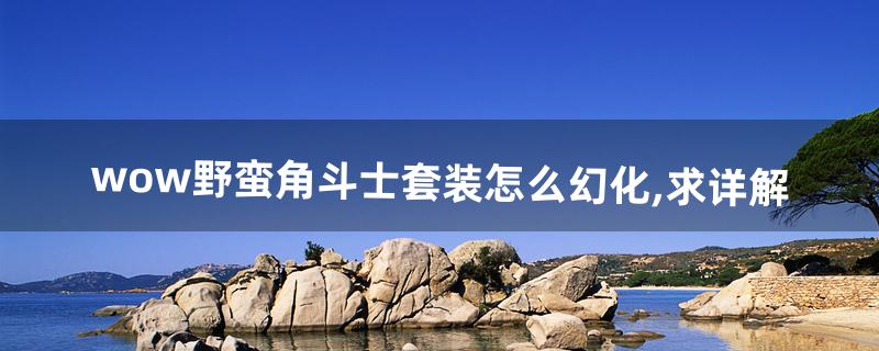 wow野蛮角斗士套装怎么幻化,求详解(wow兽人战士剑圣幻化)