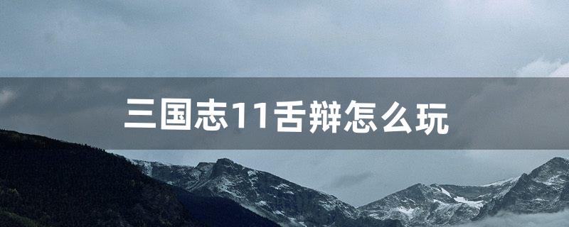 三国志11舌辩怎么玩（三国志11隐藏女将)