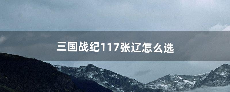 三国战纪117张辽怎么选