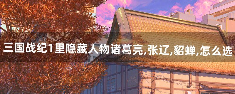 三国战纪1里隐藏人物诸葛亮,张辽,貂蝉,怎么选