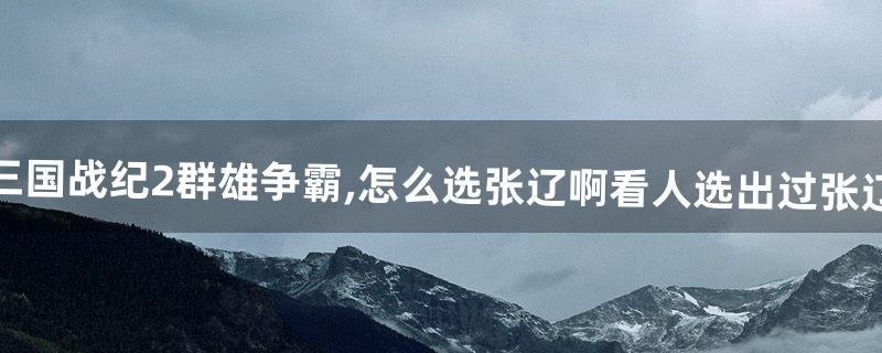 三国战纪2群雄争霸,怎么选张辽啊看人选出过张辽