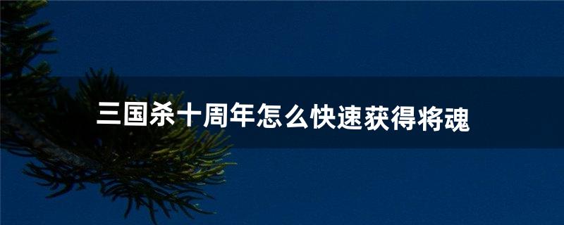 三国杀十周年怎么快速获得将魂（三国杀签到给多少将魂)