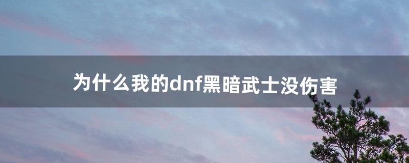 为什么我的dnf黑暗武士没伤害（dnf黑暗武士伤害对比)