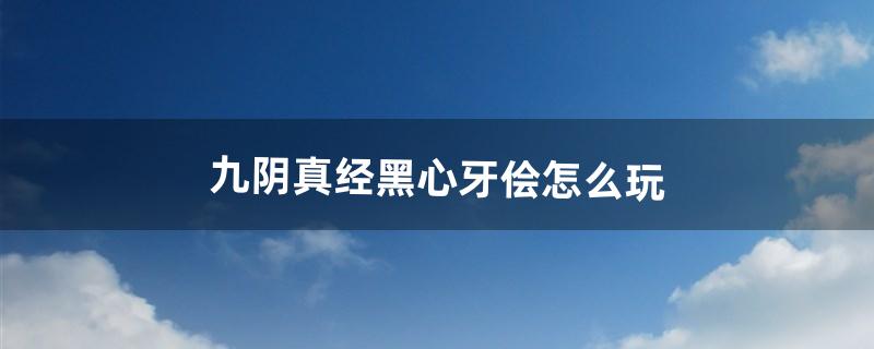 九阴真经黑心牙侩怎么玩（九阴真经3d平民攻略)