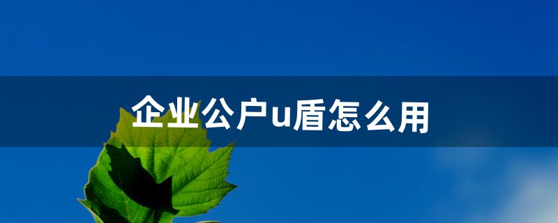 企业公户u盾怎么用（办好公户以后有u盾吗)