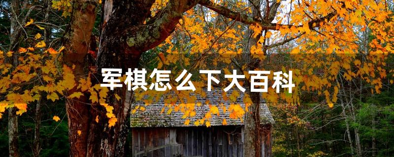 军棋怎么下大百科（两人下军棋视频大全)