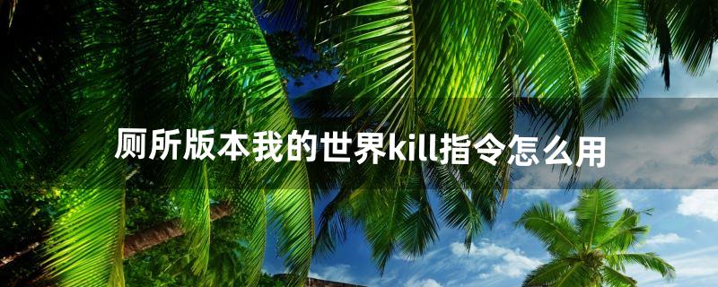 厕所版本我的世界kill指令怎么用（我的世界洗手台指令)