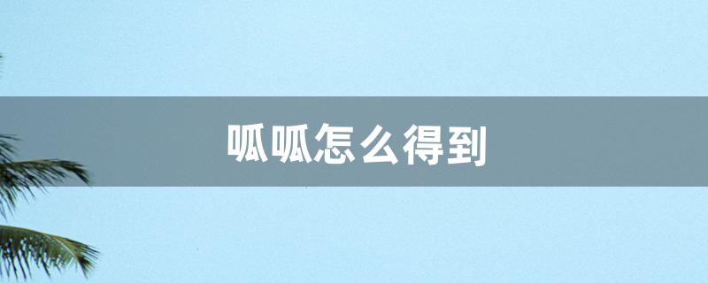 呱呱怎么得到（呱呱能进化吗)