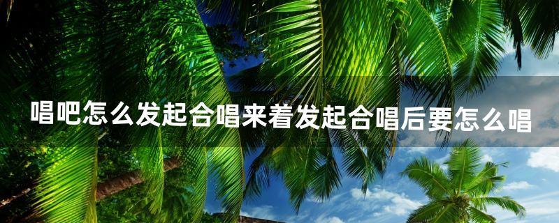 唱吧怎么发起合唱来着?发起合唱后要怎么唱