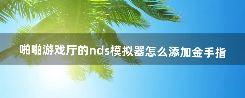 nds模拟器金手指怎么用